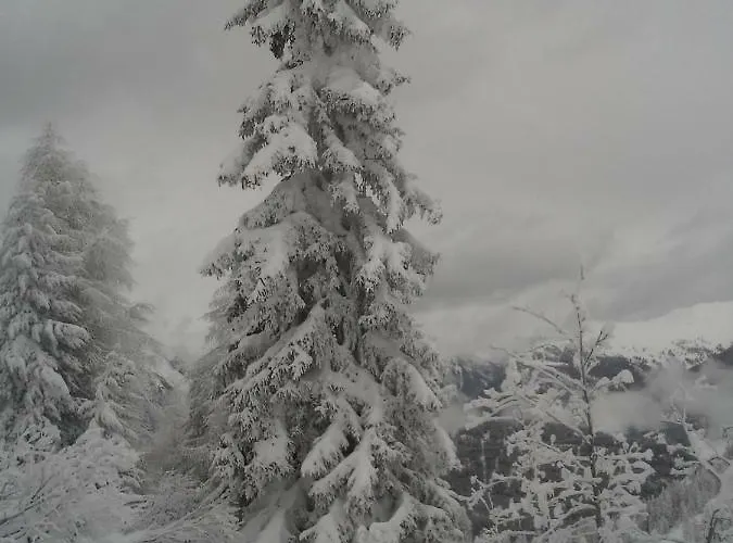 Auer Maison d'hôtes 3*