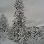 Auer Pensión 4*